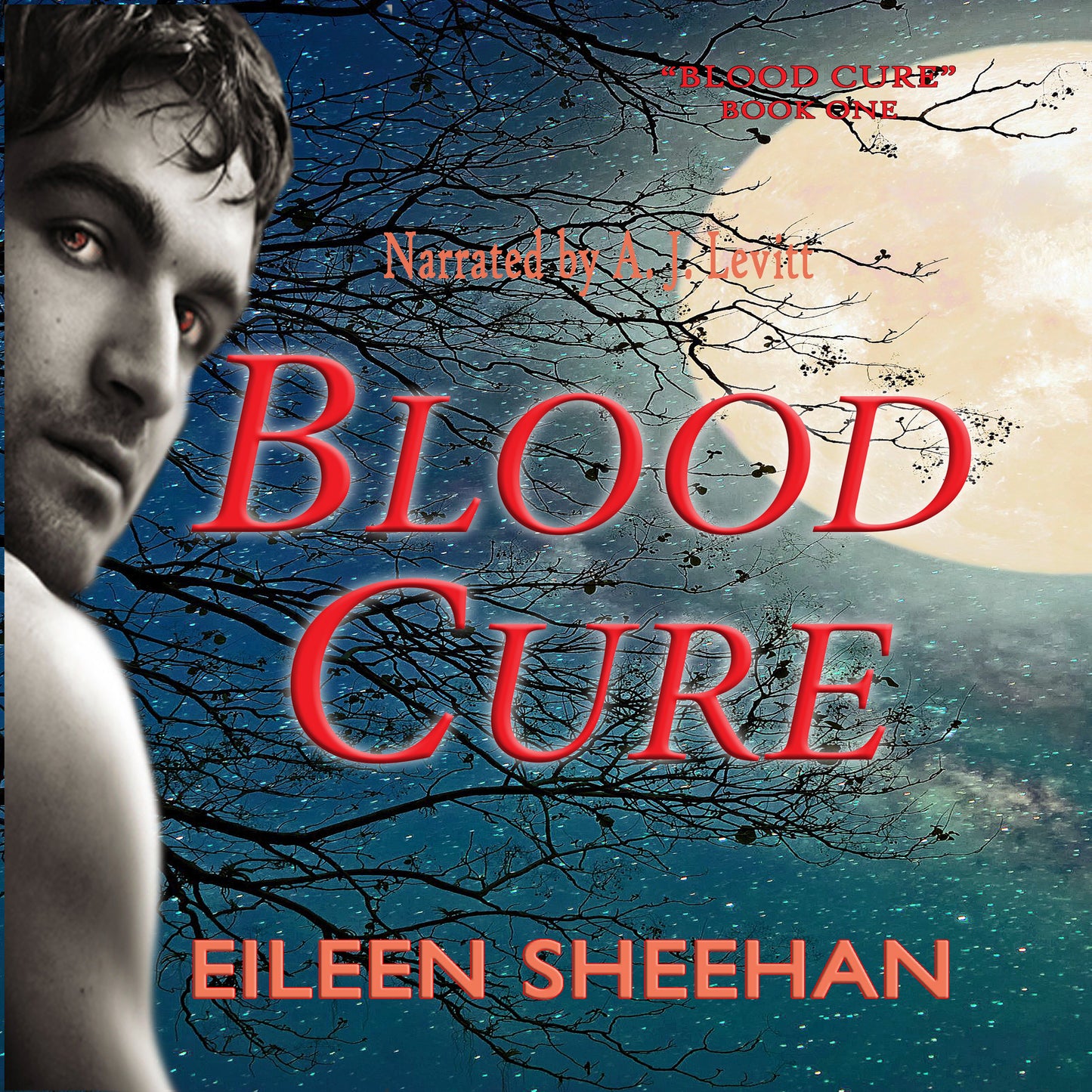 BLOOD CURE  (Book 1 of Blood Cure Trilogy) [By Eileen Sheehan]