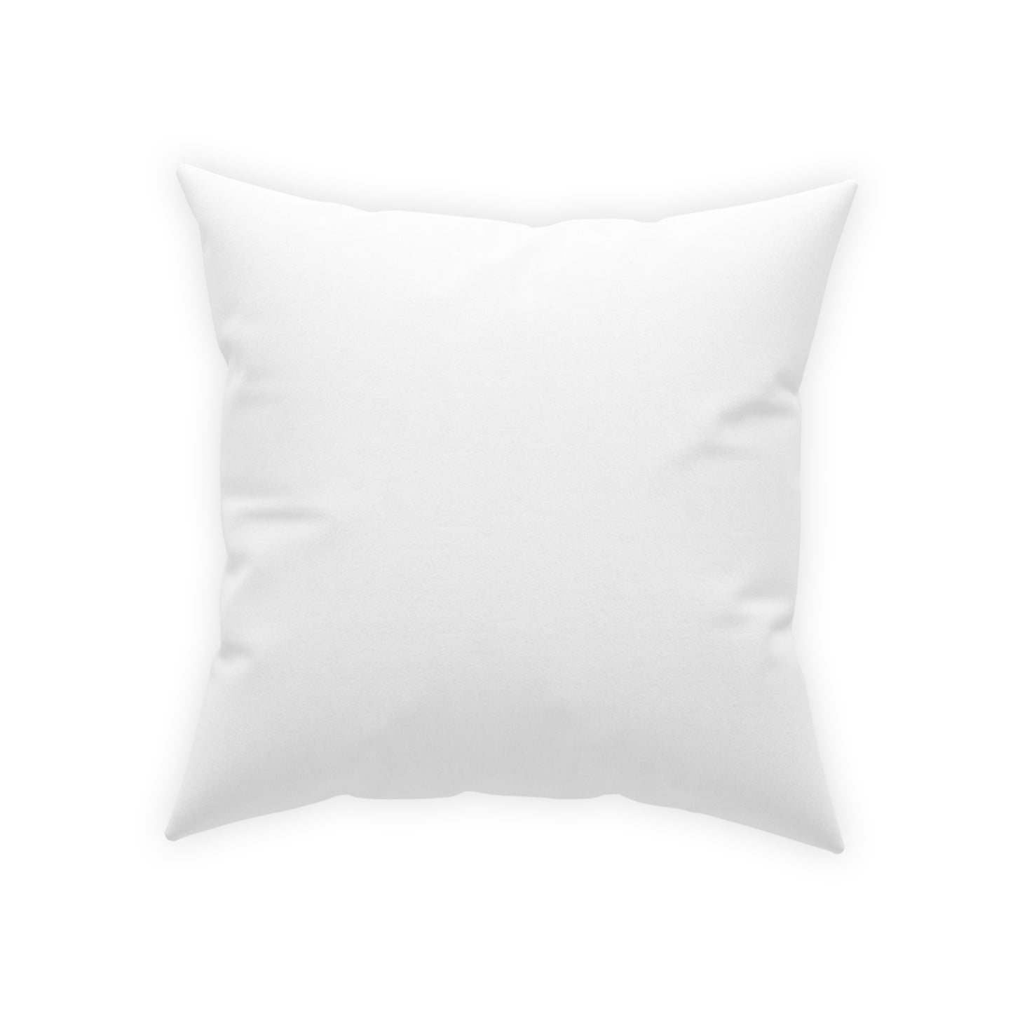 Broadcloth Pillow Reading Ignites Imagination