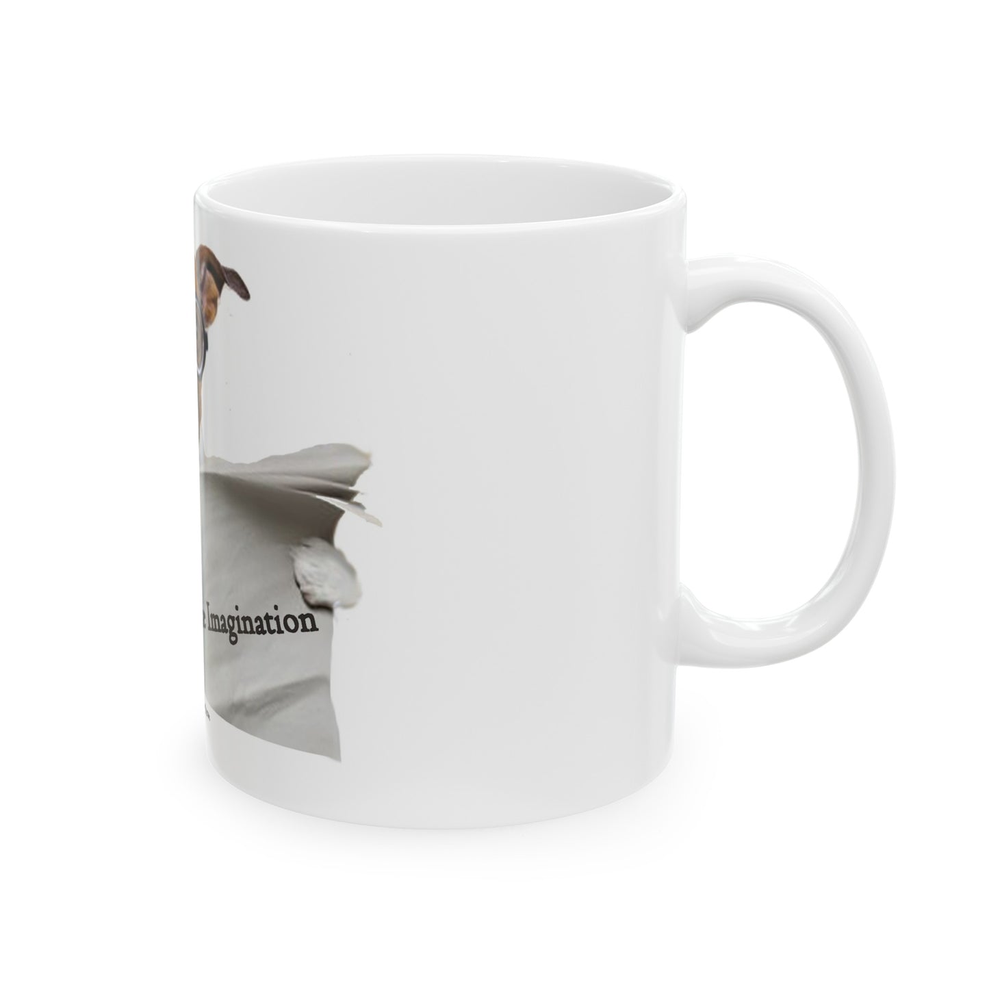 Ceramic Mug, 11oz :Reading Ignites Imagination